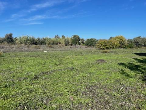 DOIS TERRENOS RÚSTICOS, BIAS SUL, MONCARAPACHO E FUZETA