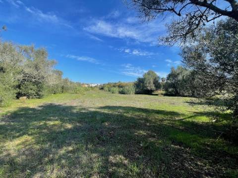 DOIS TERRENOS RÚSTICOS, BIAS SUL, MONCARAPACHO E FUZETA