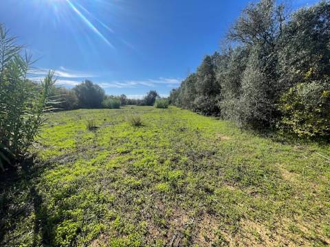 DOIS TERRENOS RÚSTICOS, BIAS SUL, MONCARAPACHO E FUZETA