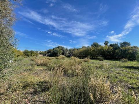 DOIS TERRENOS RÚSTICOS, BIAS SUL, MONCARAPACHO E FUZETA