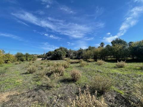 DOIS TERRENOS RÚSTICOS, BIAS SUL, MONCARAPACHO E FUZETA