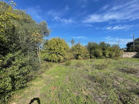 DOIS TERRENOS RÚSTICOS, BIAS SUL, MONCARAPACHO E FUZETA