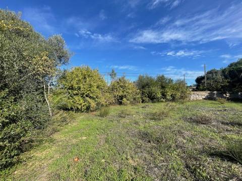 DOIS TERRENOS RÚSTICOS, BIAS SUL, MONCARAPACHO E FUZETA