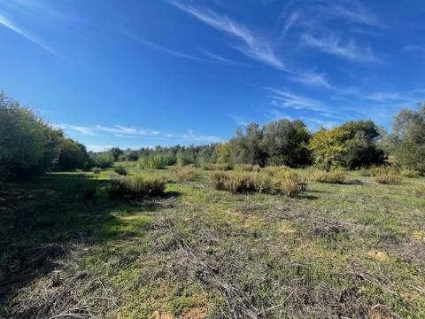 DOIS TERRENOS RÚSTICOS, BIAS SUL, MONCARAPACHO E FUZETA