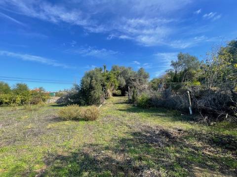 DOIS TERRENOS RÚSTICOS, BIAS SUL, MONCARAPACHO E FUZETA