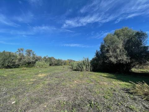 DOIS TERRENOS RÚSTICOS, BIAS SUL, MONCARAPACHO E FUZETA