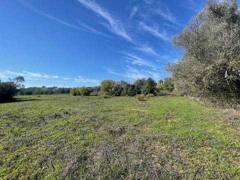 DOIS TERRENOS RÚSTICOS, BIAS SUL, MONCARAPACHO E FUZETA