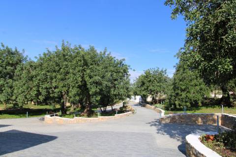 MORADIA T1, ARRENDAMENTO