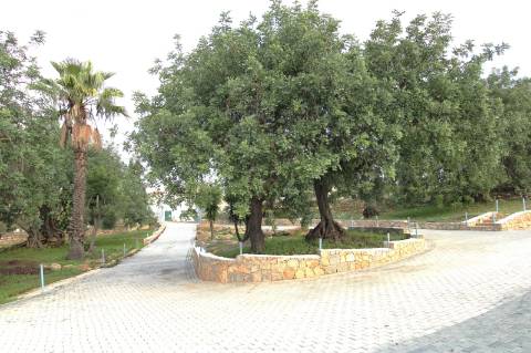 MORADIA T1, ARRENDAMENTO