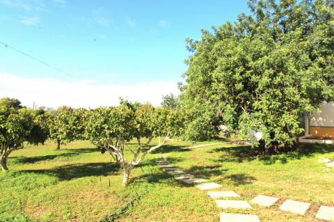 MORADIA T1, ARRENDAMENTO