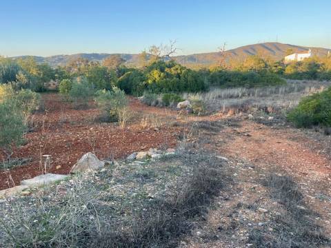 TERRENO RÚSTICO, QUELFES OLHÃO