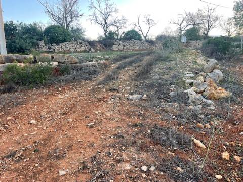 TERRENO RÚSTICO, QUELFES OLHÃO