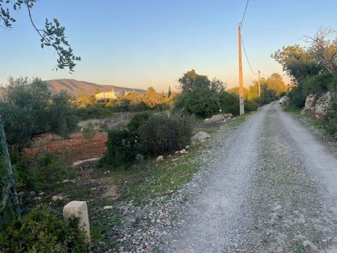 TERRENO RÚSTICO, QUELFES OLHÃO