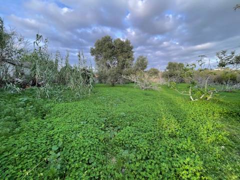 Moradia Rústica Geminada, com terreno e vista mar.