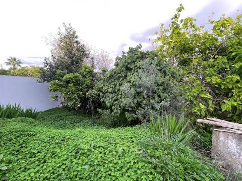 Moradia Rústica Geminada, com terreno e vista mar.