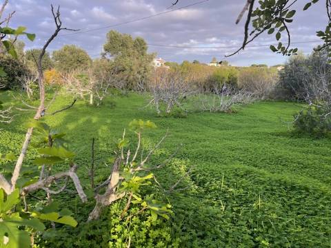 Moradia Rústica Geminada, com terreno e vista mar.
