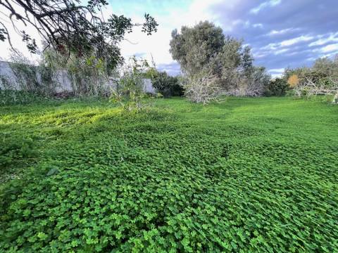 Moradia Rústica Geminada, com terreno e vista mar.