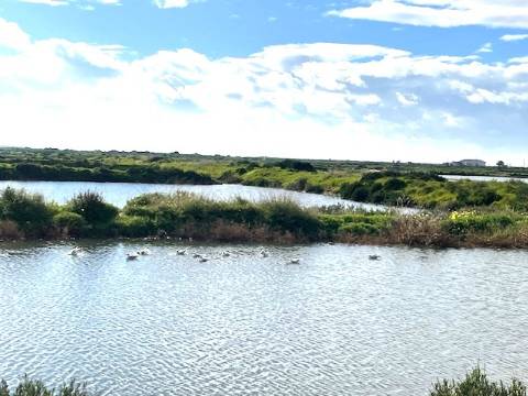 Moradia Rústica Geminada, com terreno e vista mar.