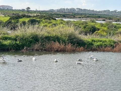 Moradia Rústica Geminada, com terreno e vista mar.