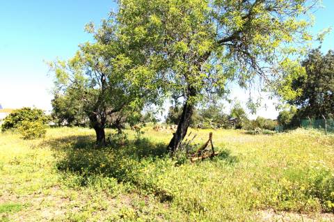 MORADIA PARA RECUPERAR, MONCARAPACHO E FUSETA