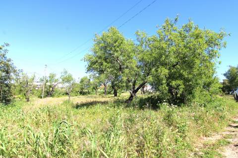 MORADIA PARA RECUPERAR, MONCARAPACHO E FUSETA