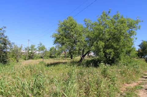 MORADIA PARA RECUPERAR, MONCARAPACHO E FUSETA