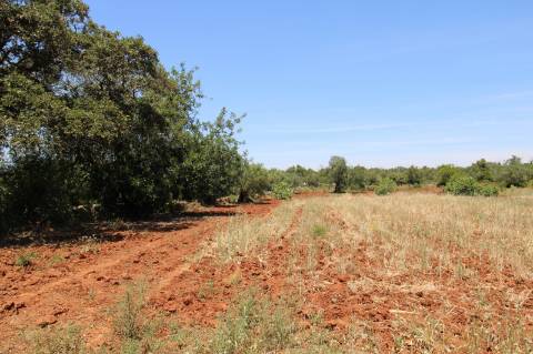 TERRENO RÚSTICO, TAVIRA, SANTO ESTEVÃO
