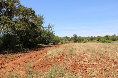 TERRENO RÚSTICO, TAVIRA, SANTO ESTEVÃO