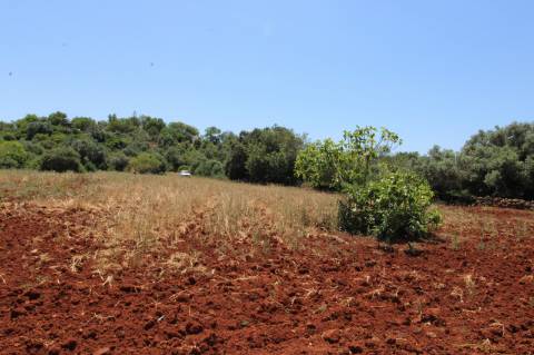 TERRENO RÚSTICO, TAVIRA, SANTO ESTEVÃO
