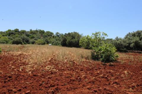 TERRENO RÚSTICO, TAVIRA, SANTO ESTEVÃO