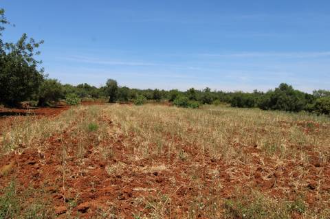 TERRENO RÚSTICO, TAVIRA, SANTO ESTEVÃO
