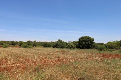 TERRENO RÚSTICO, TAVIRA, SANTO ESTEVÃO