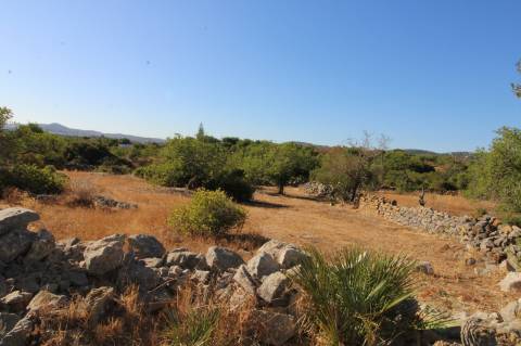 Terreno Rústico de 1800m2