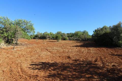 Terreno Rústico de 1800m2