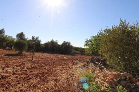 Terreno Rústico de 1800m2