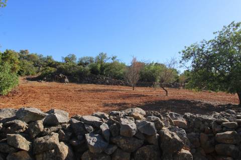 Terreno Rústico de 1800m2