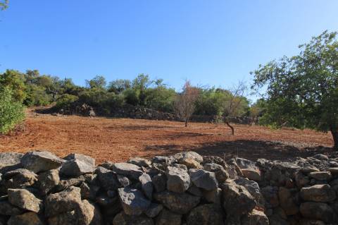 Terreno Rústico de 1800m2