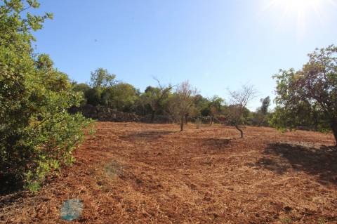 Terreno Rústico de 1800m2