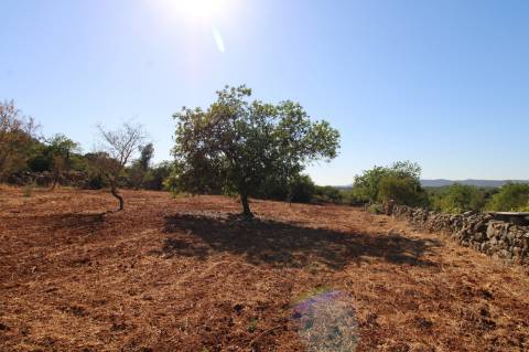Terreno Rústico de 1800m2
