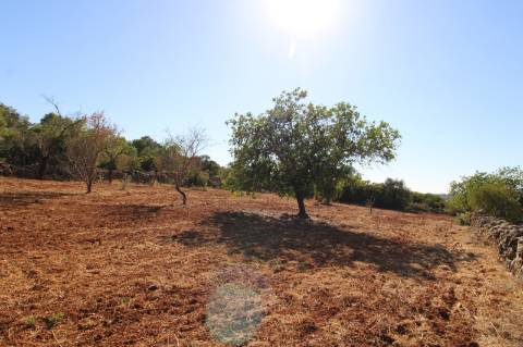 Terreno Rústico de 1800m2