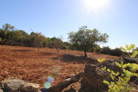 Terreno Rústico de 1800m2