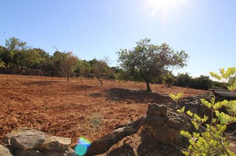 Terreno Rústico de 1800m2