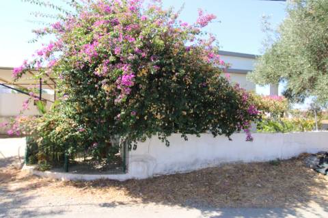 MORADIA TRADICIONAL, T3, ISOLADA, ESTOI, FARO.