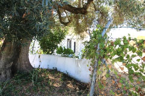 MORADIA TRADICIONAL, T3, ISOLADA, ESTOI, FARO.