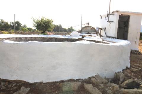 TERRENO RÚSTICO COM NORA E ELETRICIDADE.