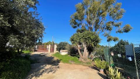 ARRENDAMENTO ANUAL, STUDIO