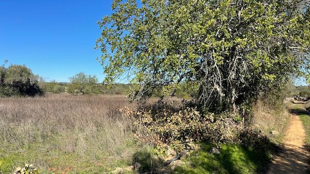 TERRENO RÚSTICO, ESTOI FARO