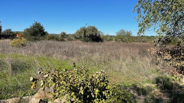TERRENO RÚSTICO, ESTOI FARO