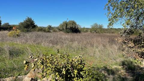 TERRENO RÚSTICO, ESTOI FARO