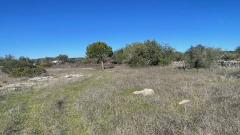 TERRENO RÚSTICO, ESTOI FARO
